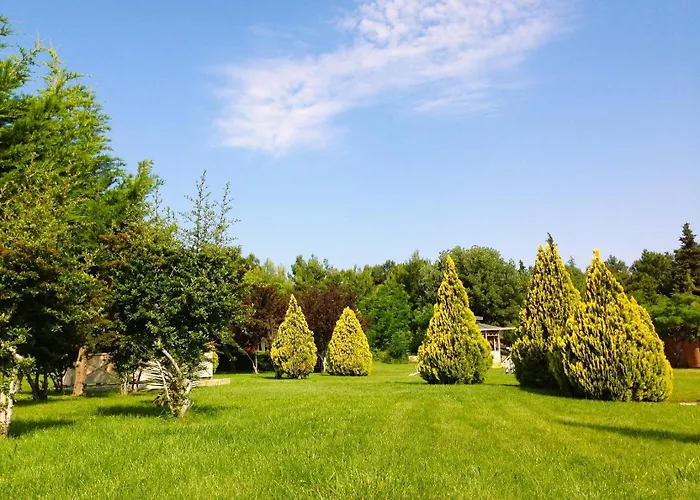 Dardanos Yerleskesi Отель Хамидие